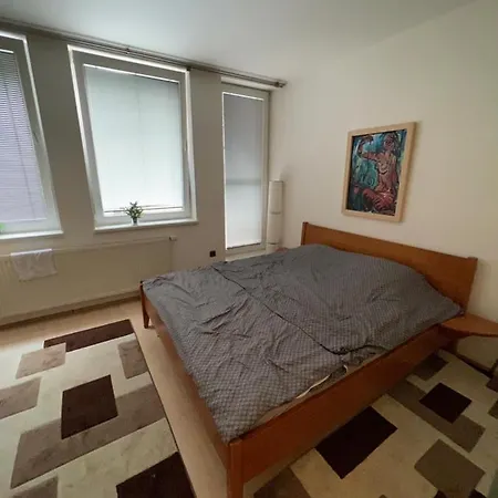 Apartment Apartman S Vyhladom Na Hrad